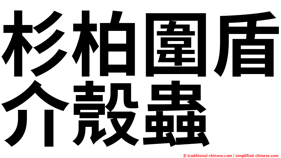 杉柏圍盾介殼蟲
