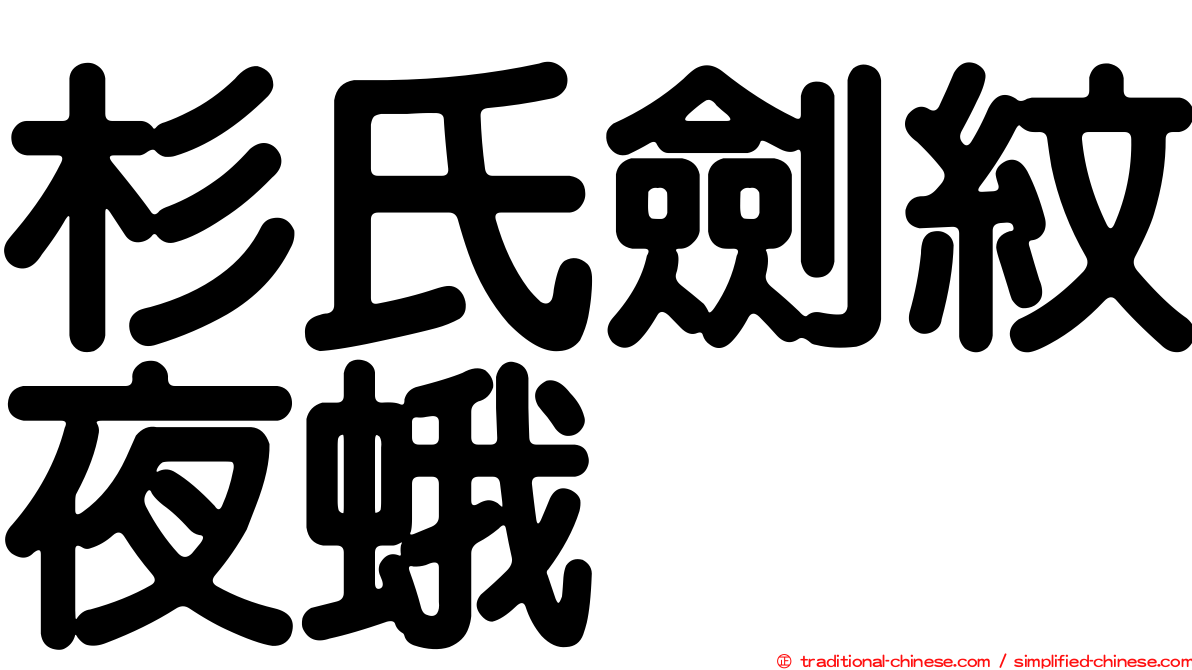 杉氏劍紋夜蛾
