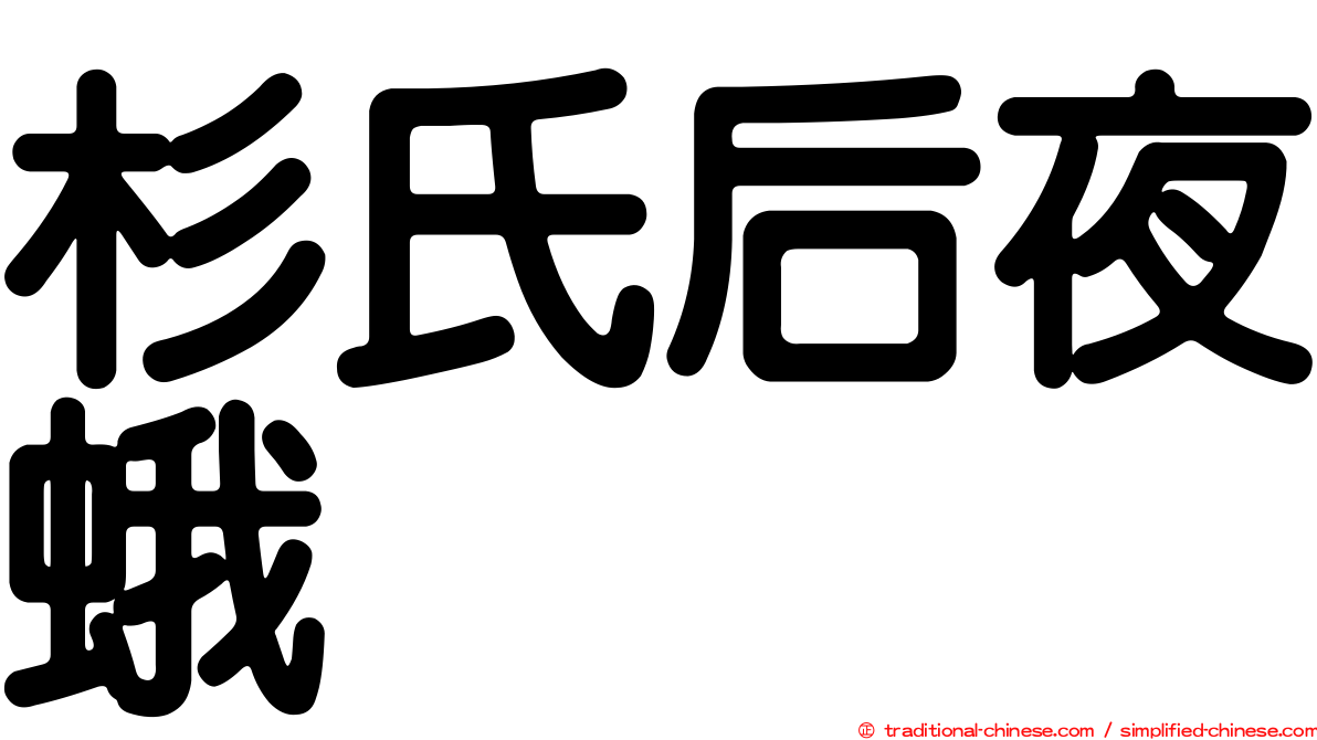 杉氏后夜蛾