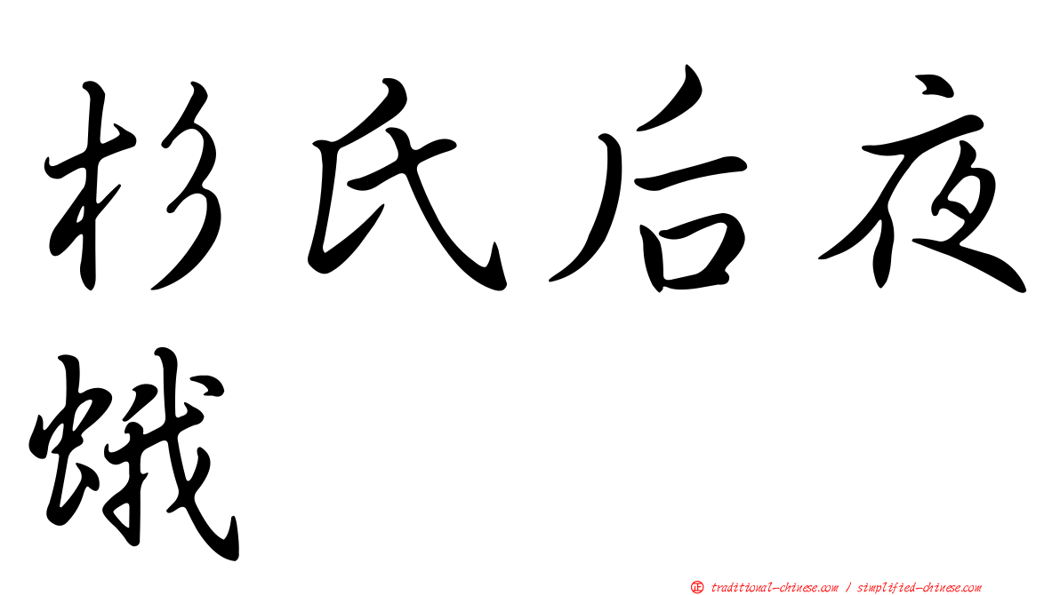 杉氏后夜蛾