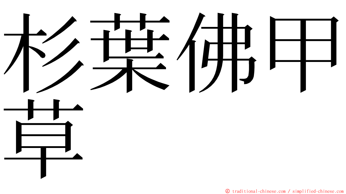 杉葉佛甲草 ming font