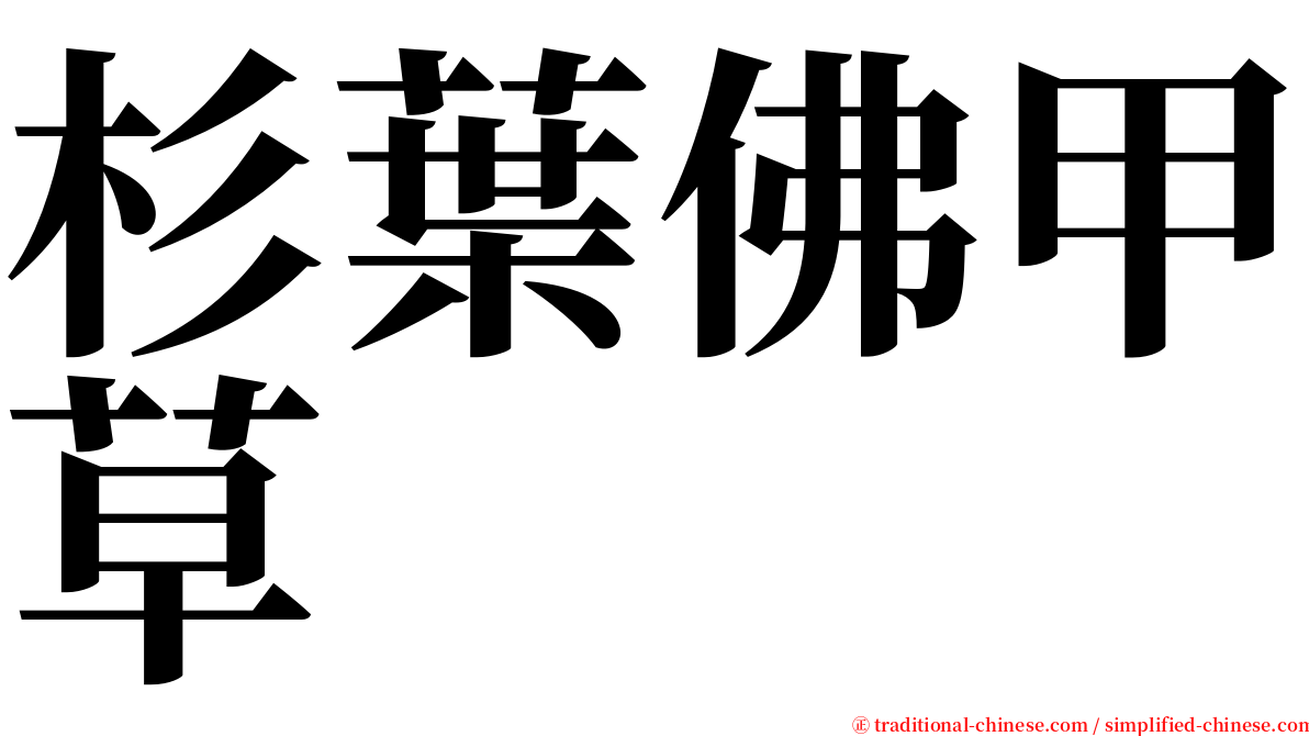 杉葉佛甲草 serif font