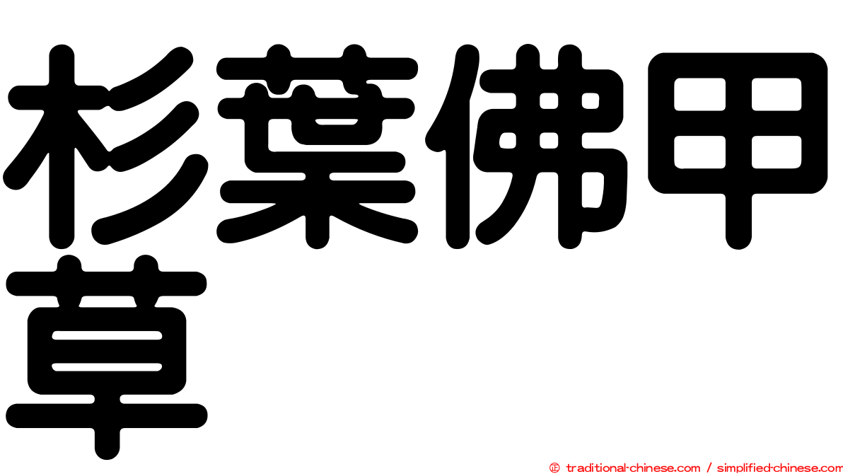 杉葉佛甲草