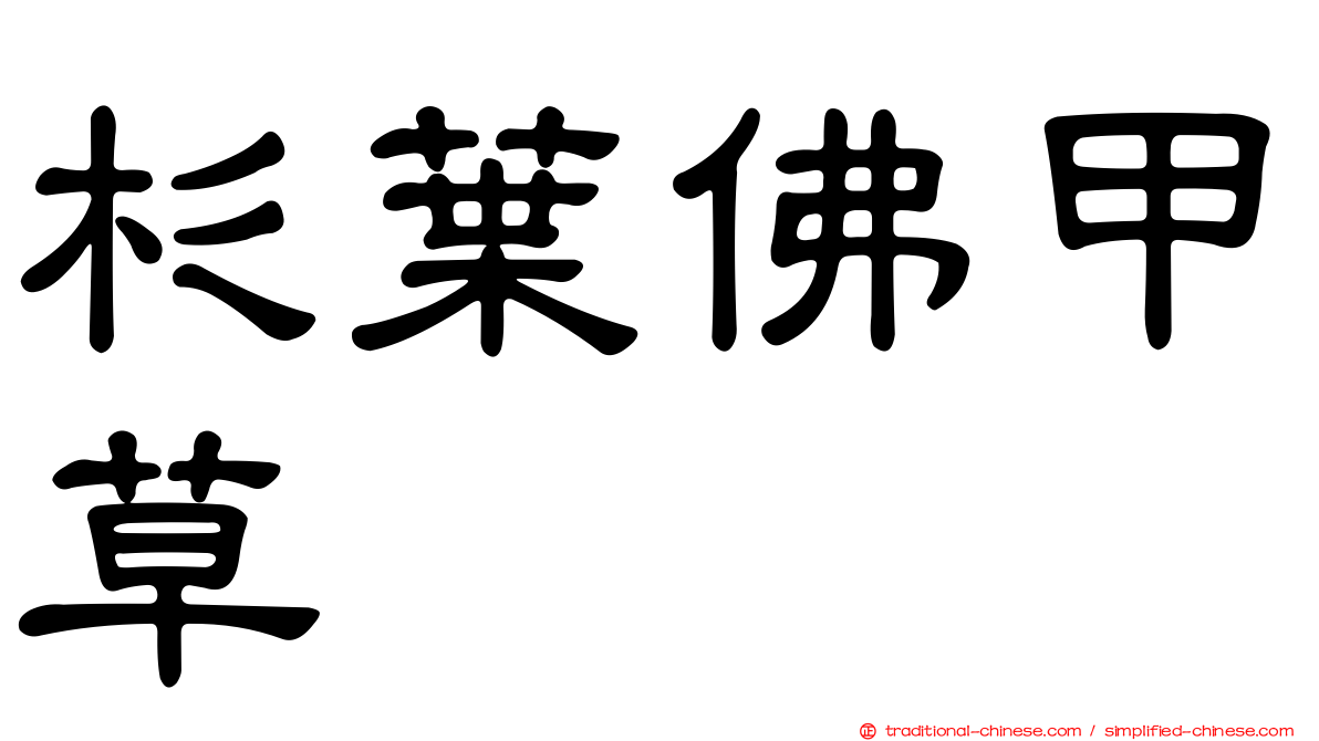 杉葉佛甲草