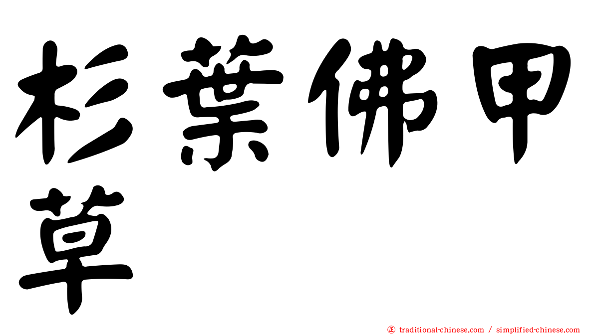 杉葉佛甲草