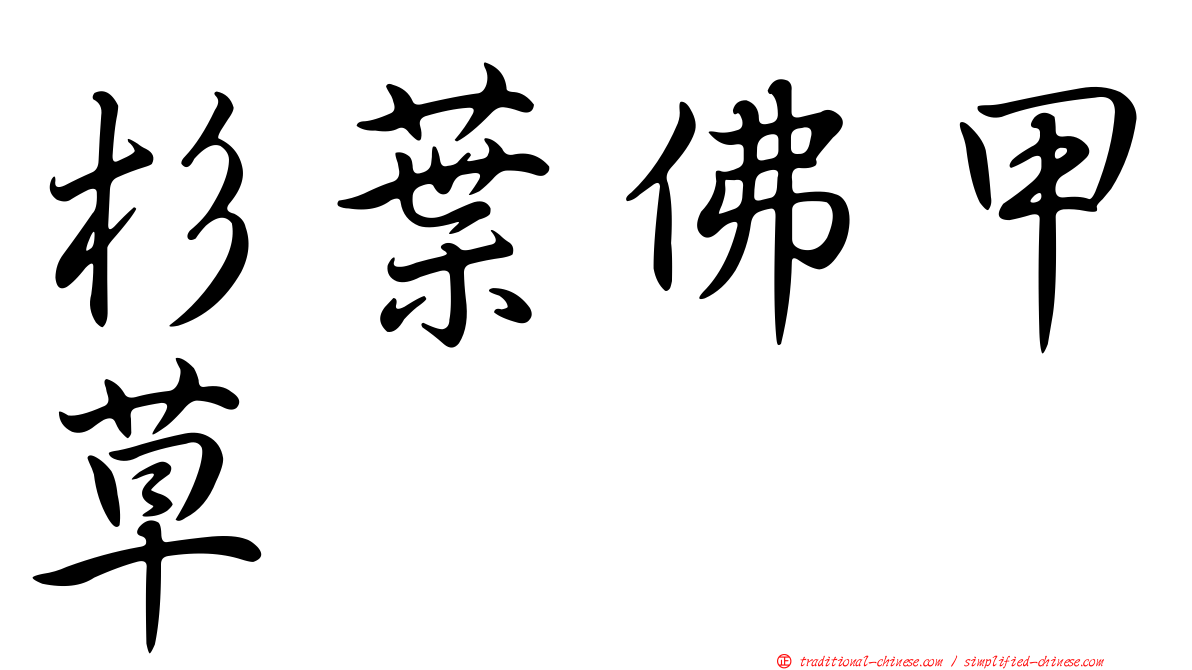 杉葉佛甲草