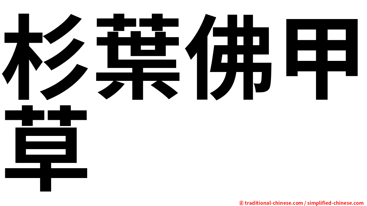 杉葉佛甲草