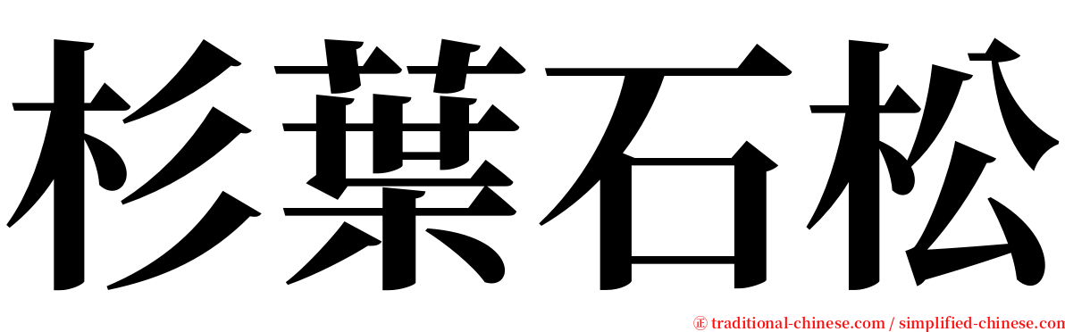 杉葉石松 serif font