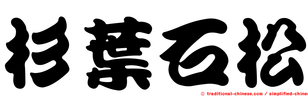 杉葉石松