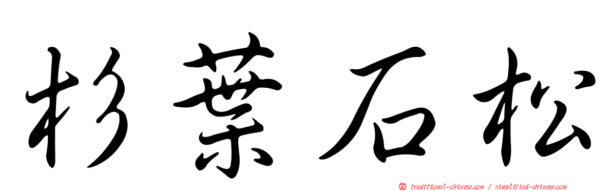 杉葉石松