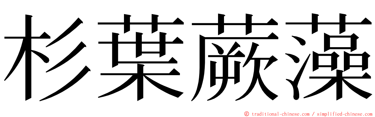 杉葉蕨藻 ming font