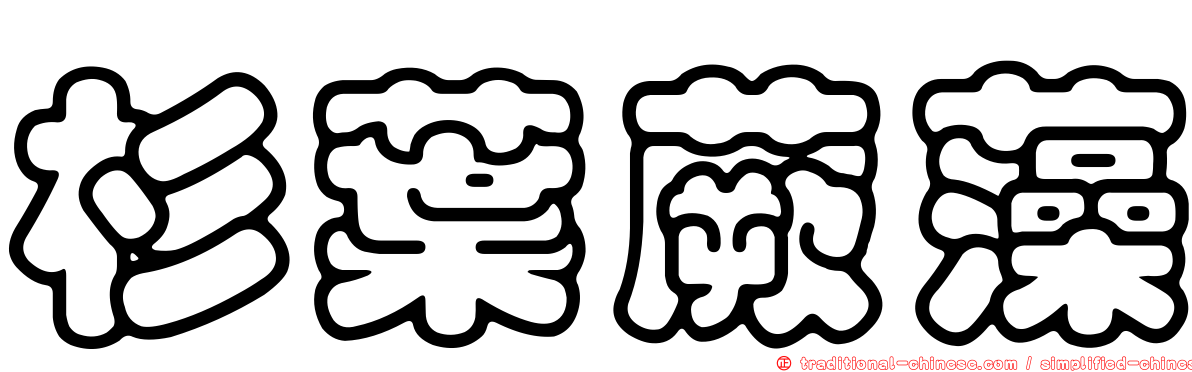 杉葉蕨藻