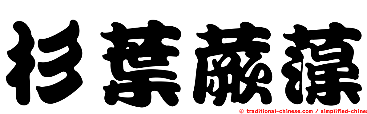 杉葉蕨藻
