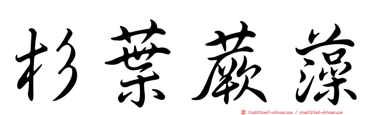 杉葉蕨藻