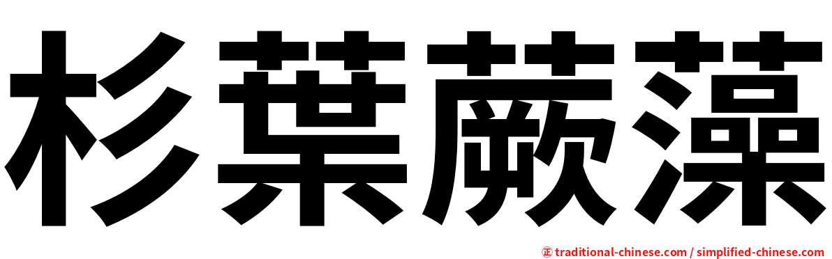 杉葉蕨藻
