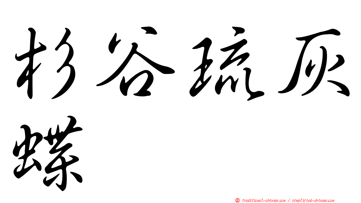 杉谷琉灰蝶
