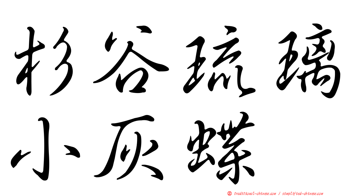 杉谷琉璃小灰蝶