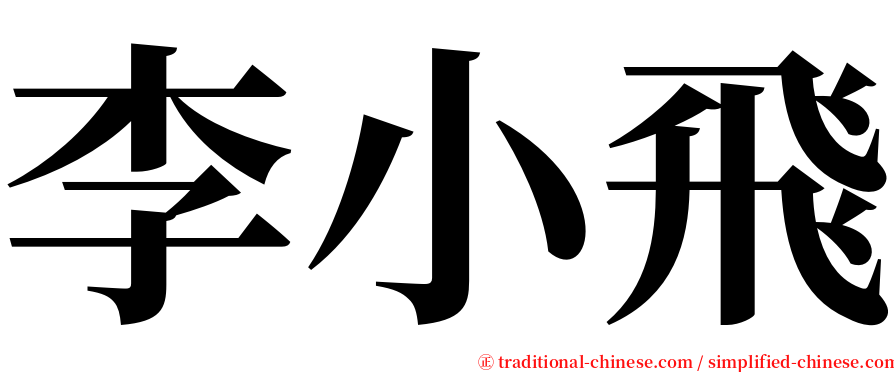 李小飛 serif font