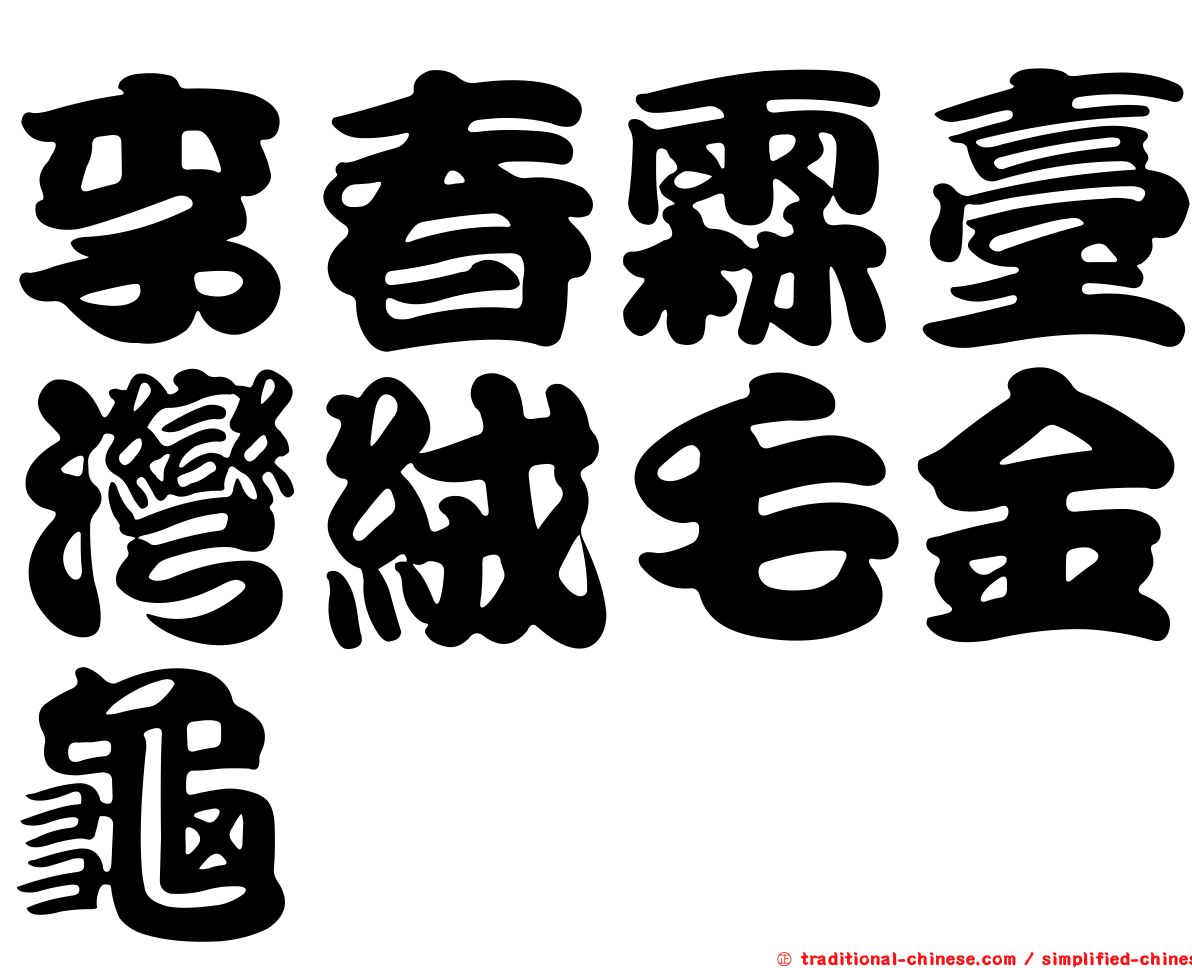 李春霖臺灣絨毛金龜
