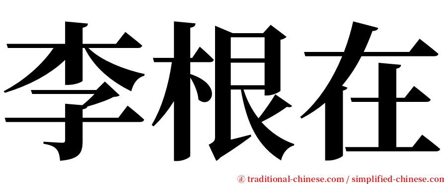 李根在 serif font