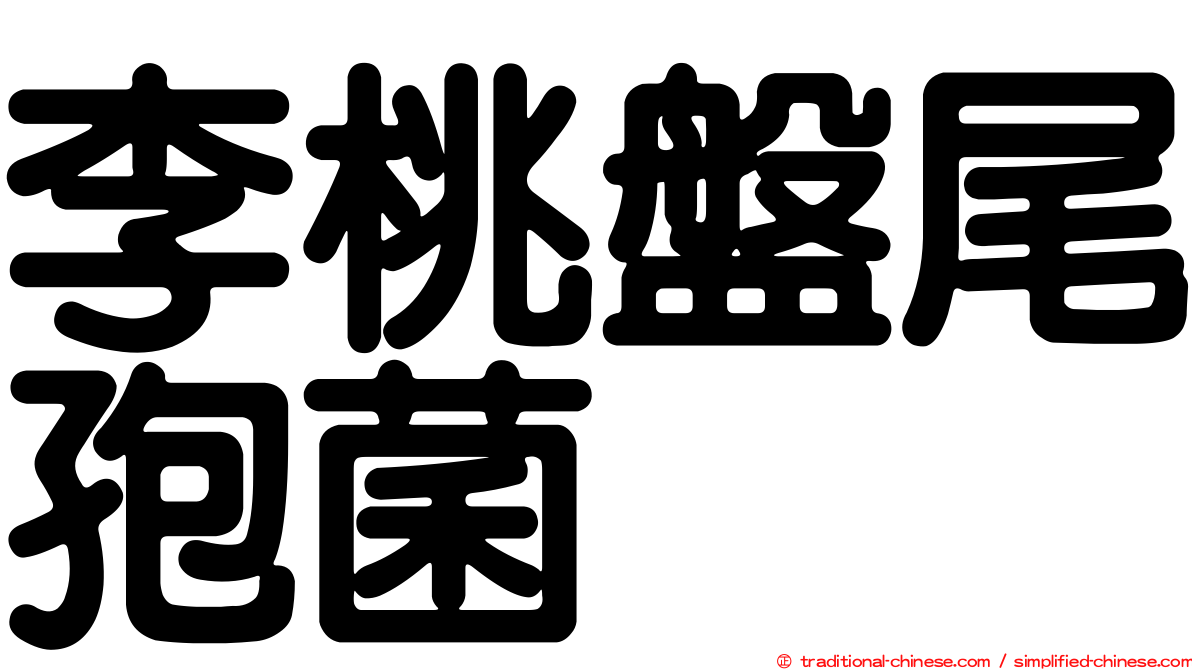 李桃盤尾孢菌