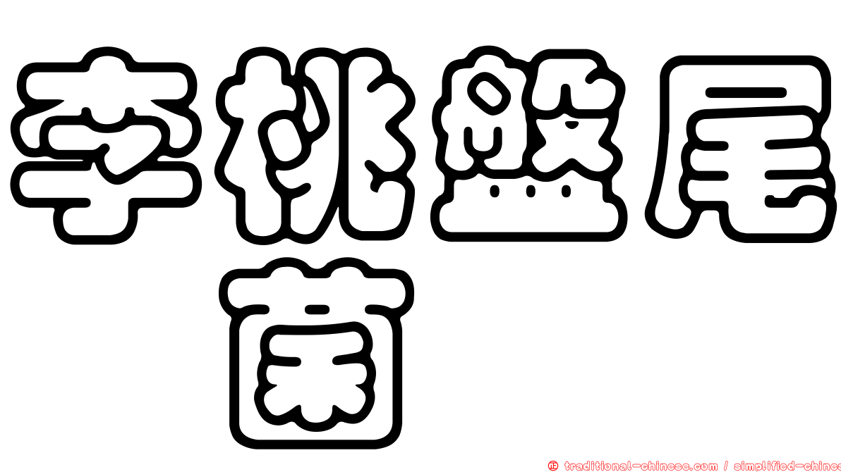 李桃盤尾孢菌