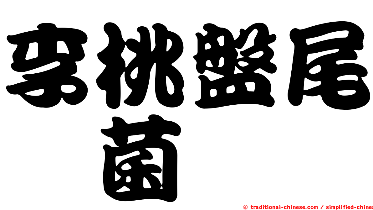 李桃盤尾孢菌
