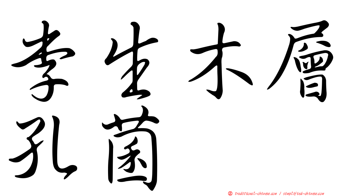 李生木層孔菌