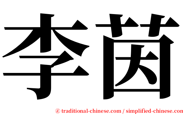 李茵 serif font