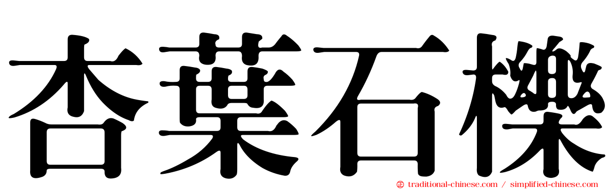 杏葉石櫟