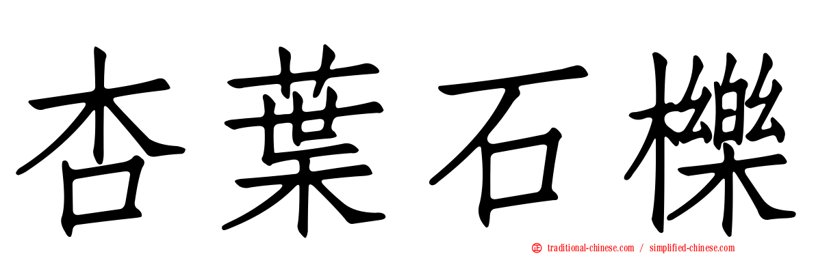 杏葉石櫟