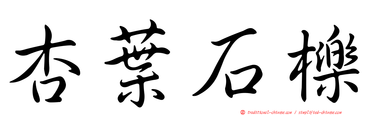 杏葉石櫟