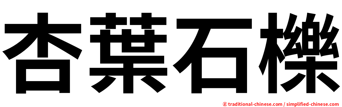 杏葉石櫟