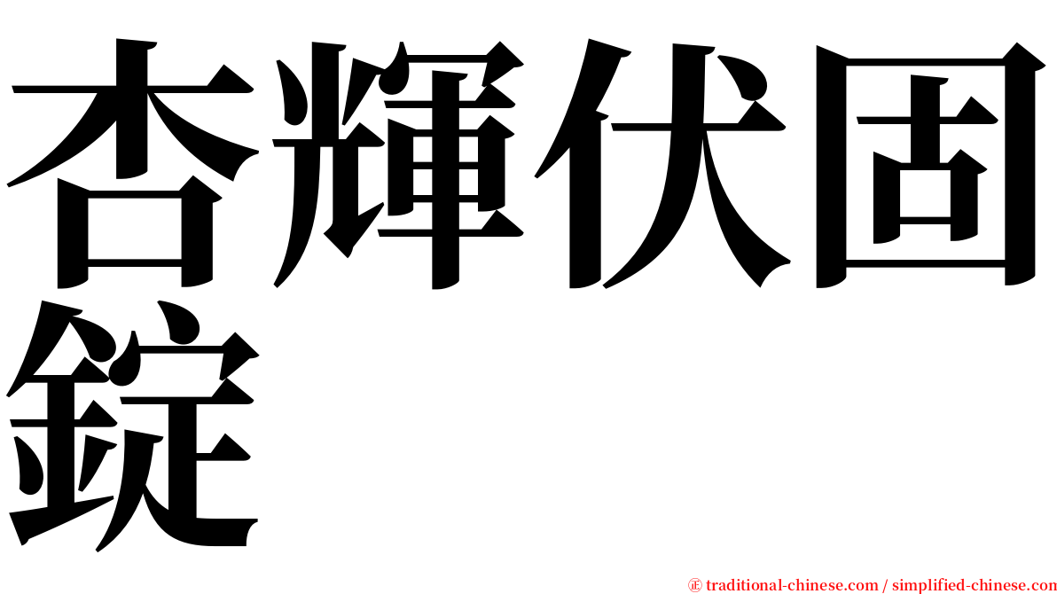 杏輝伏固錠 serif font