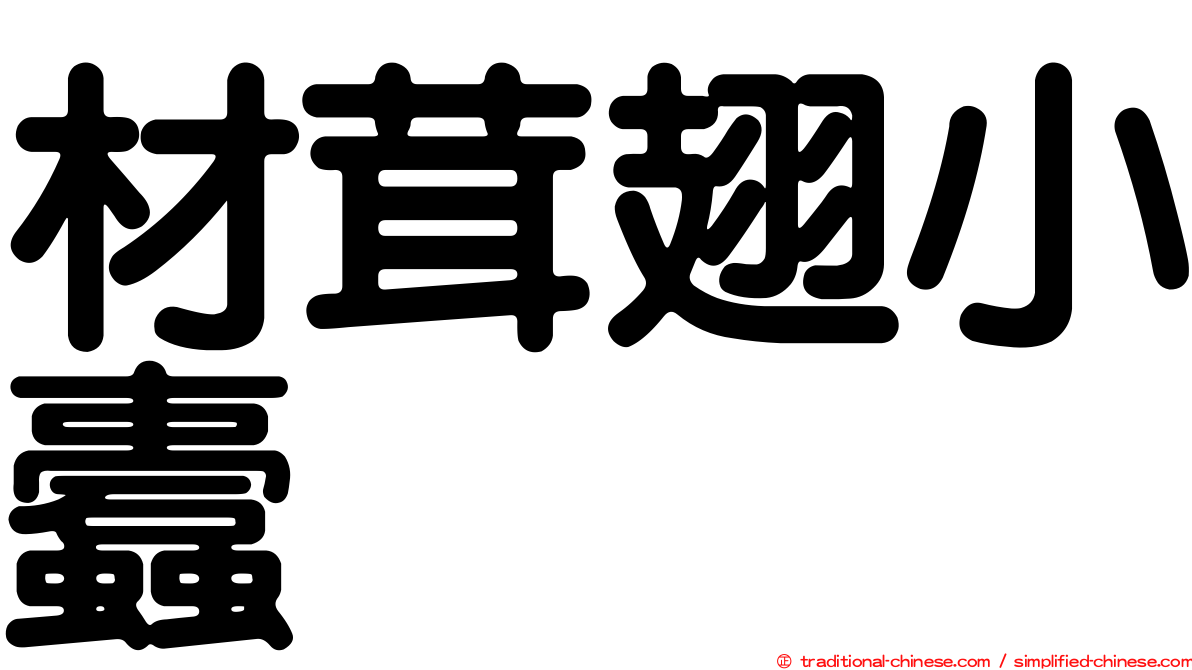 材茸翅小蠹