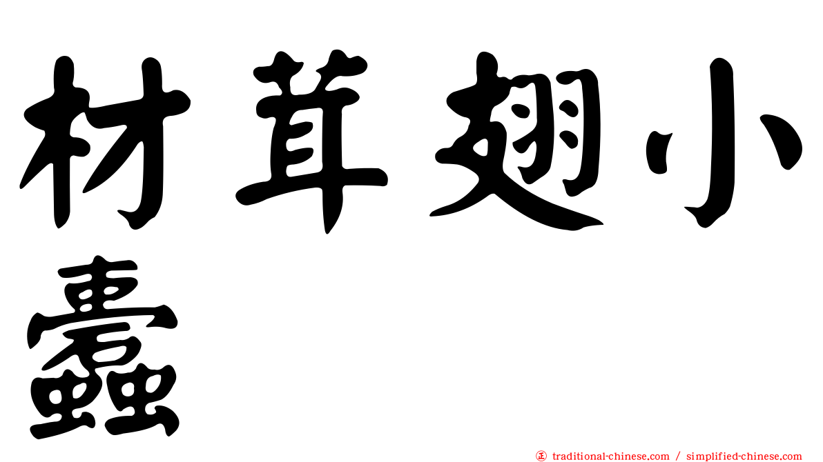 材茸翅小蠹