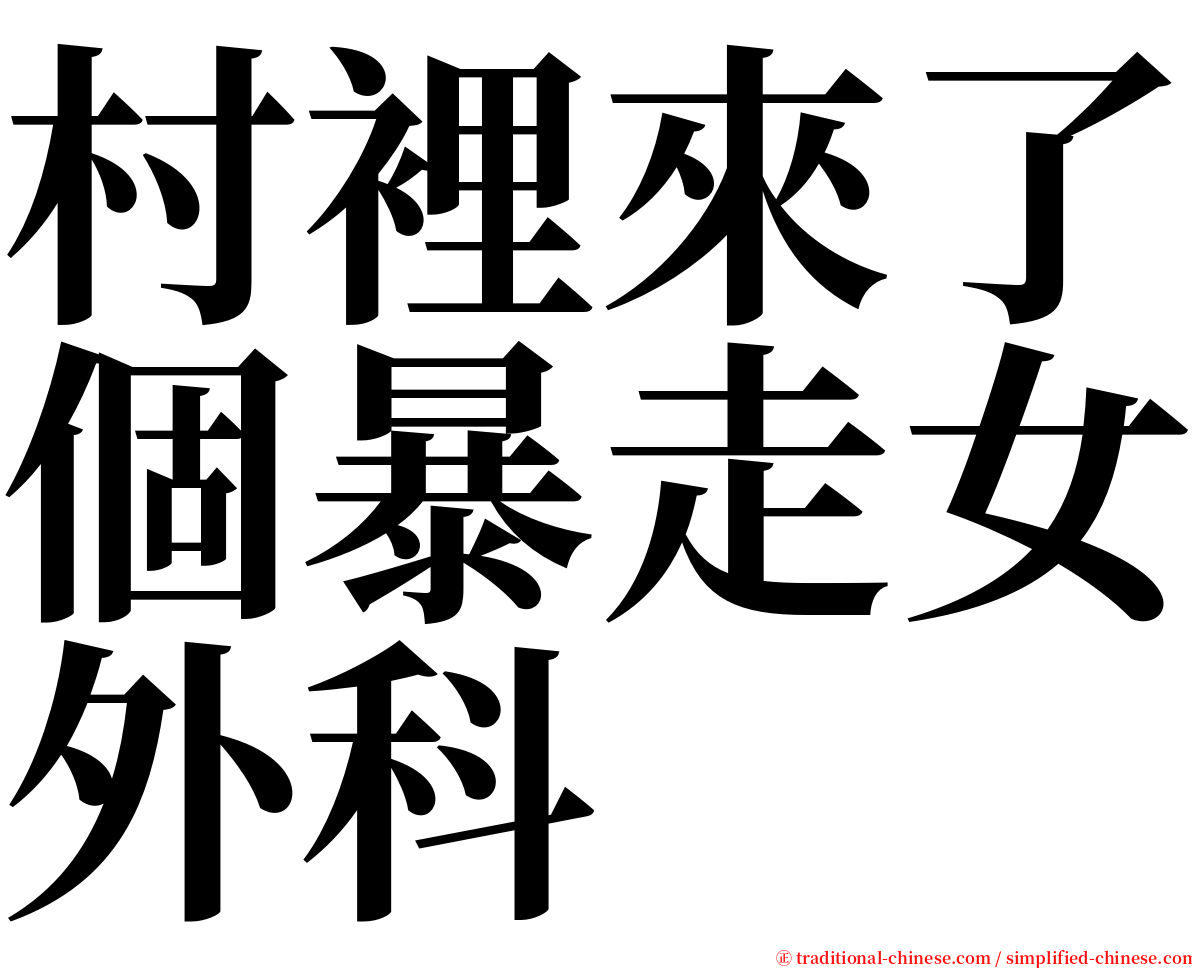 村裡來了個暴走女外科 serif font