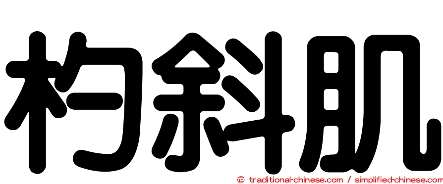 杓斜肌