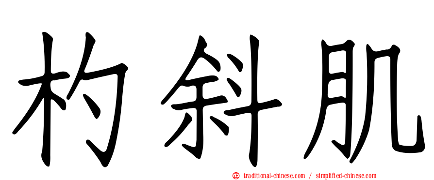 杓斜肌