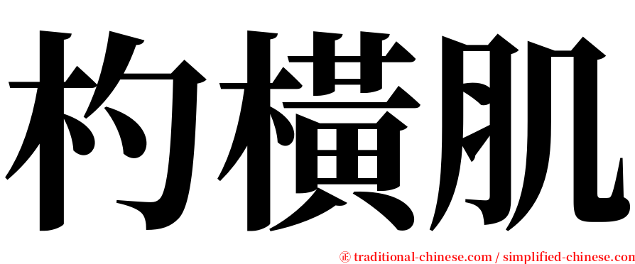 杓橫肌 serif font