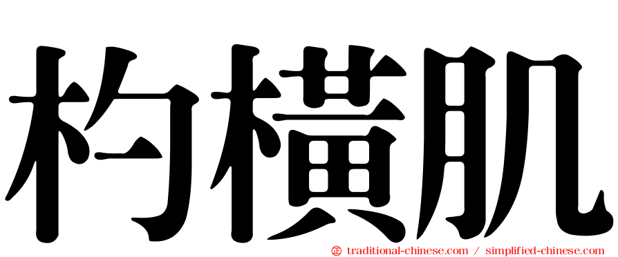 杓橫肌