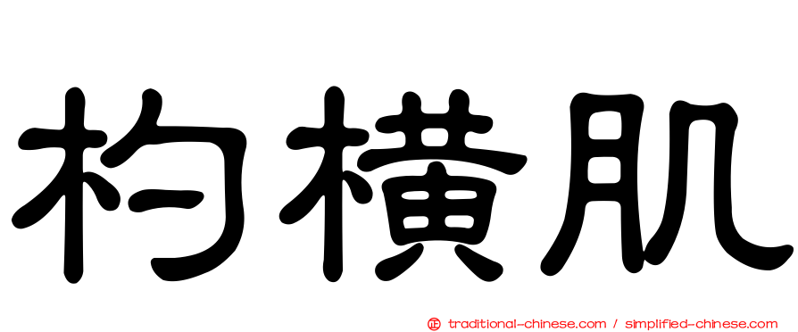 杓橫肌