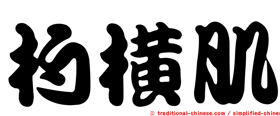 杓橫肌