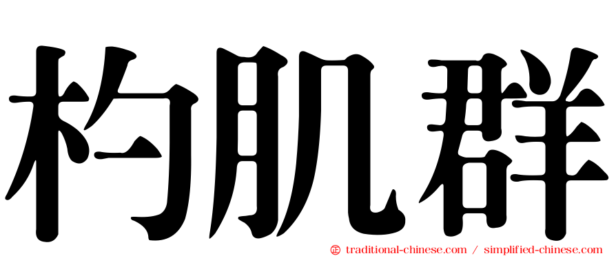 杓肌群