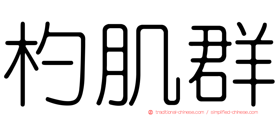 杓肌群
