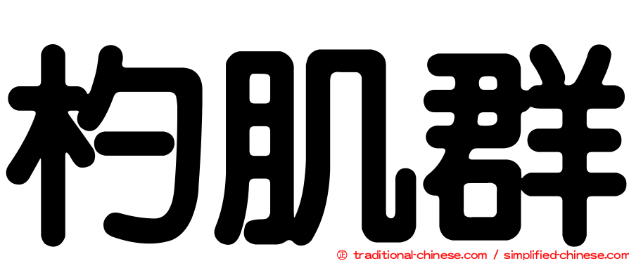 杓肌群