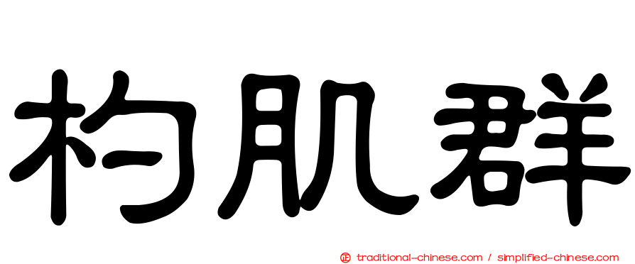 杓肌群