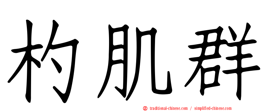 杓肌群