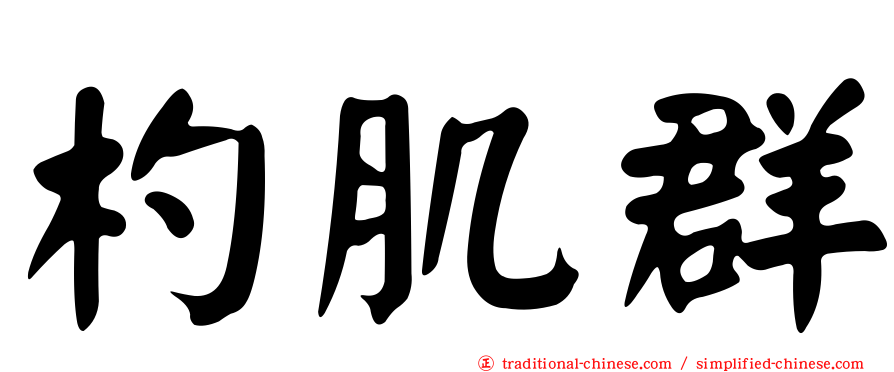 杓肌群