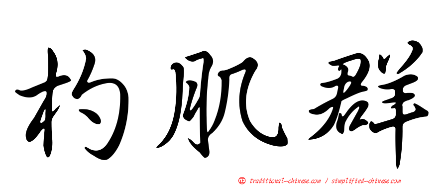 杓肌群